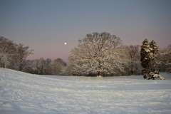 Moonrise in the Park