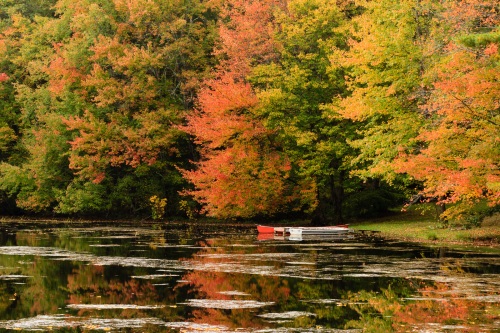 Docked Boats Under Fall Colors Docked Boats Under Fall Colors