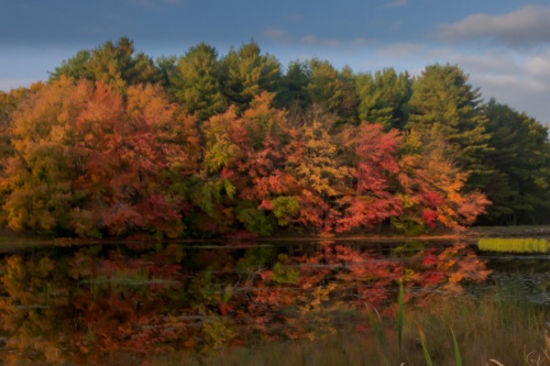 Fall in New England Fall in New England