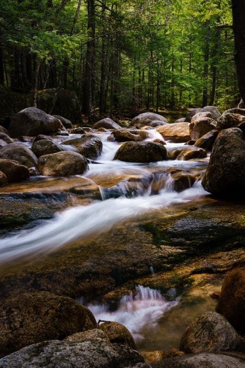 Sabbaday Falls #4 Sabbaday Falls #4