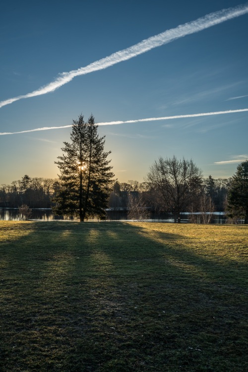 Sunrise in Roger Williams Park Sunrise in Roger Williams Park