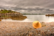 Sea Shell