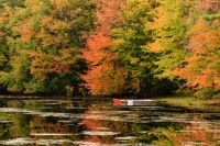 Docked Boats Under Fall Colors