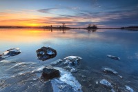 Getting low can change everything. A winter sunrise at Salter Grove, Rhode Island, from the perspective that had passersby checking if I’d fallen. Sometimes, the best view is closer to the ground.
