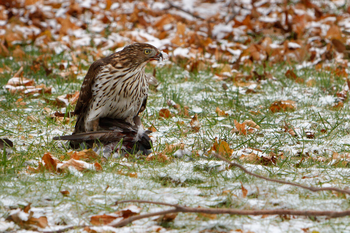 Photography Favors the Well Prepared