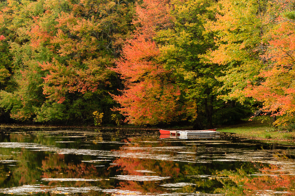 Docked-Boats-Under-Fall-Colors-Mike-Dooley.jpg