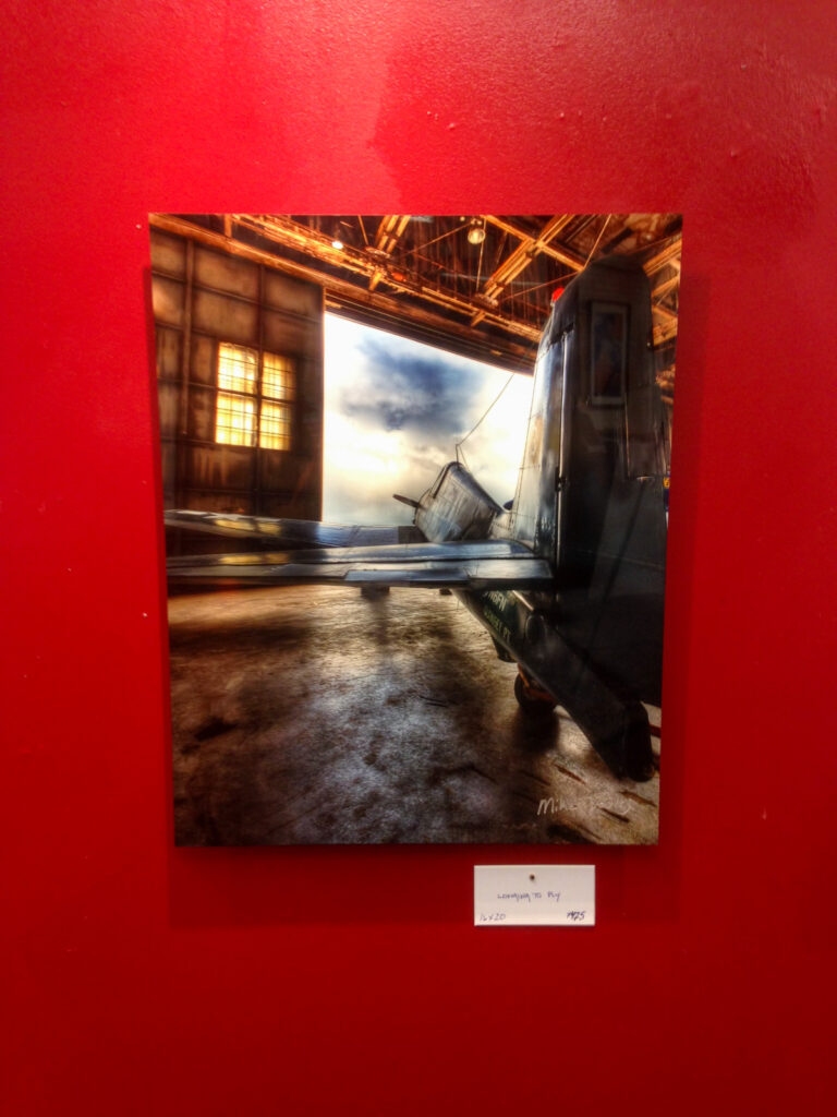 Mike Dooley’s 16x24" fine art metal print of Longing to Fly displayed at Dryden Gallery during his solo exhibit, showcasing vibrant colors and coastal-inspired seascape photography.