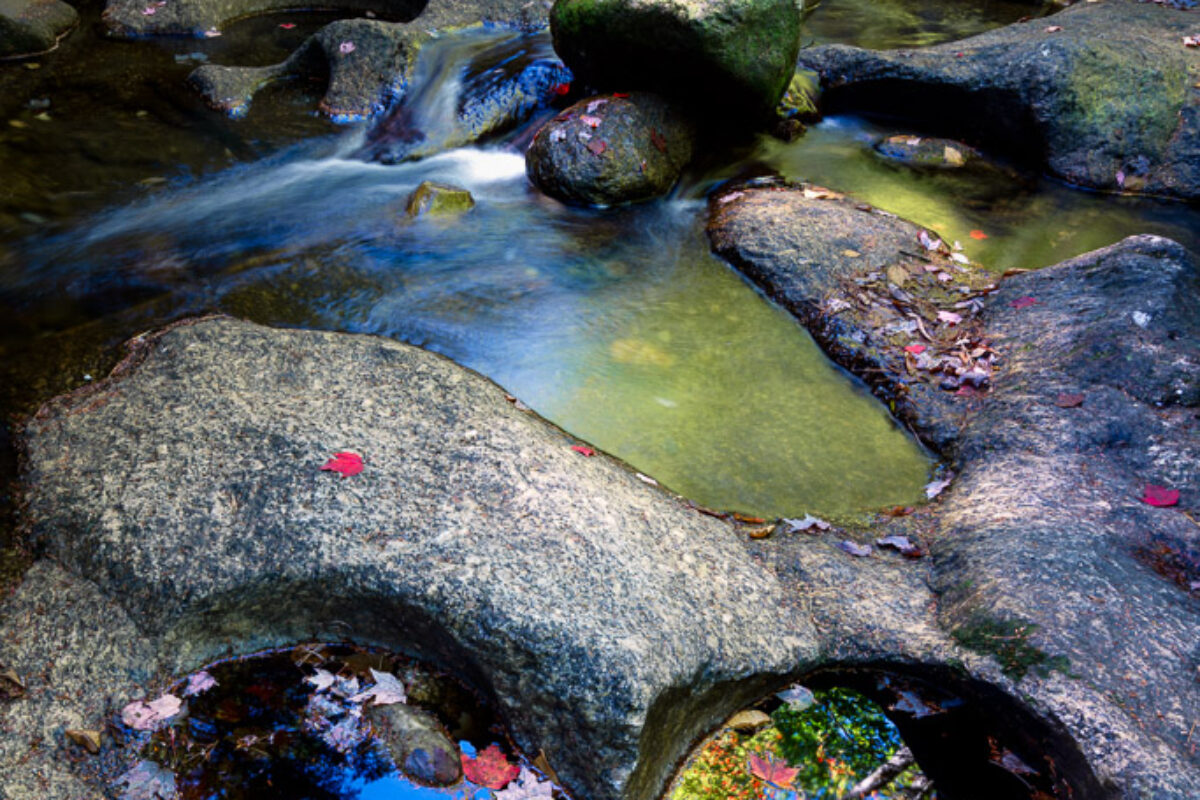 Nature Landscape Photography – Nature Photographs for Sale