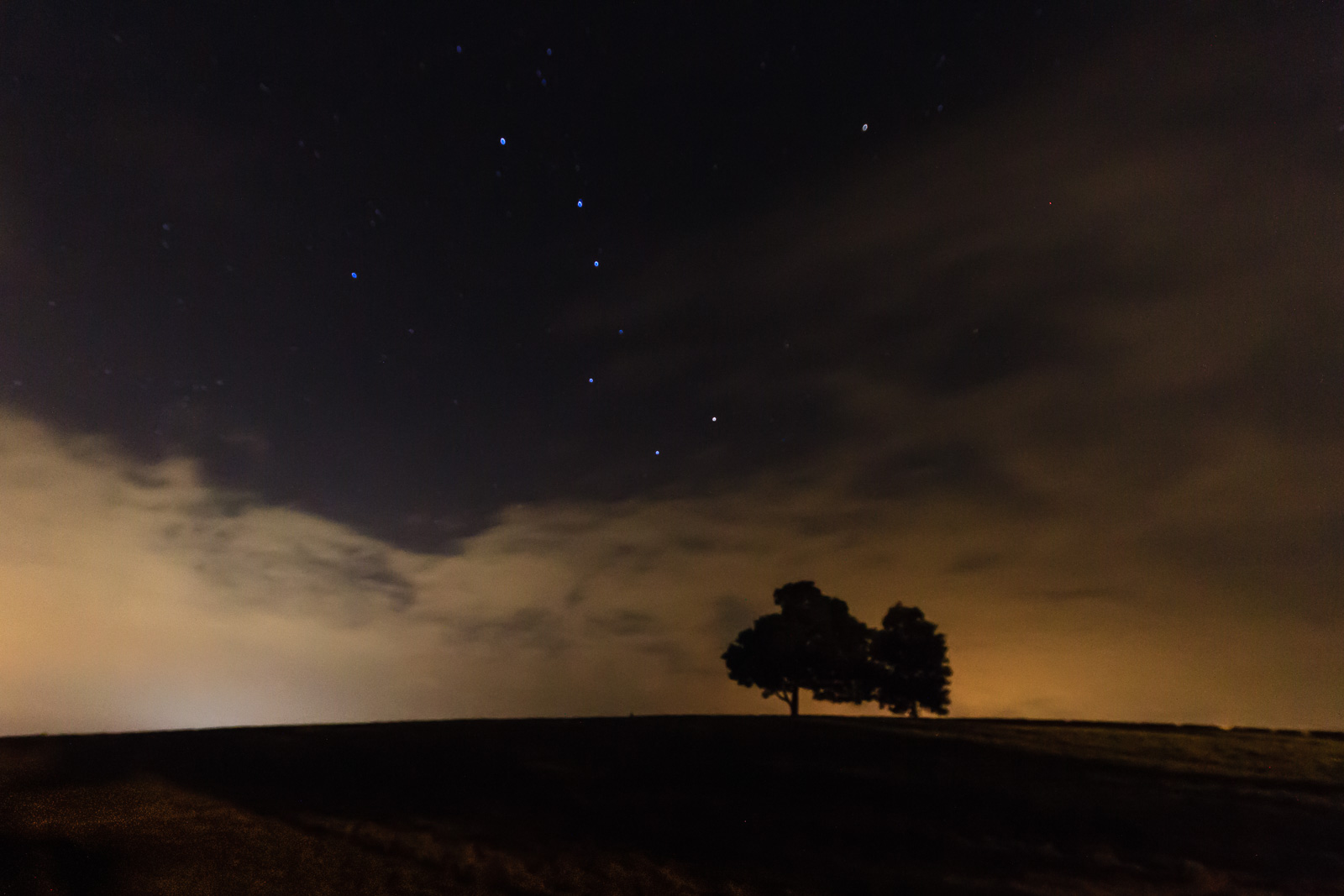Night sky with Big Dipper constellation above silhouetted trees on a farm