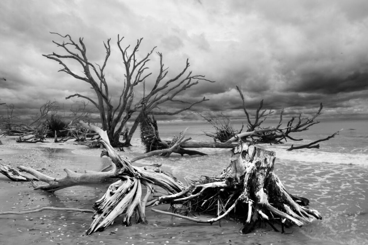 The Click That Still Echoes: Photography, Mindfulness & Healing