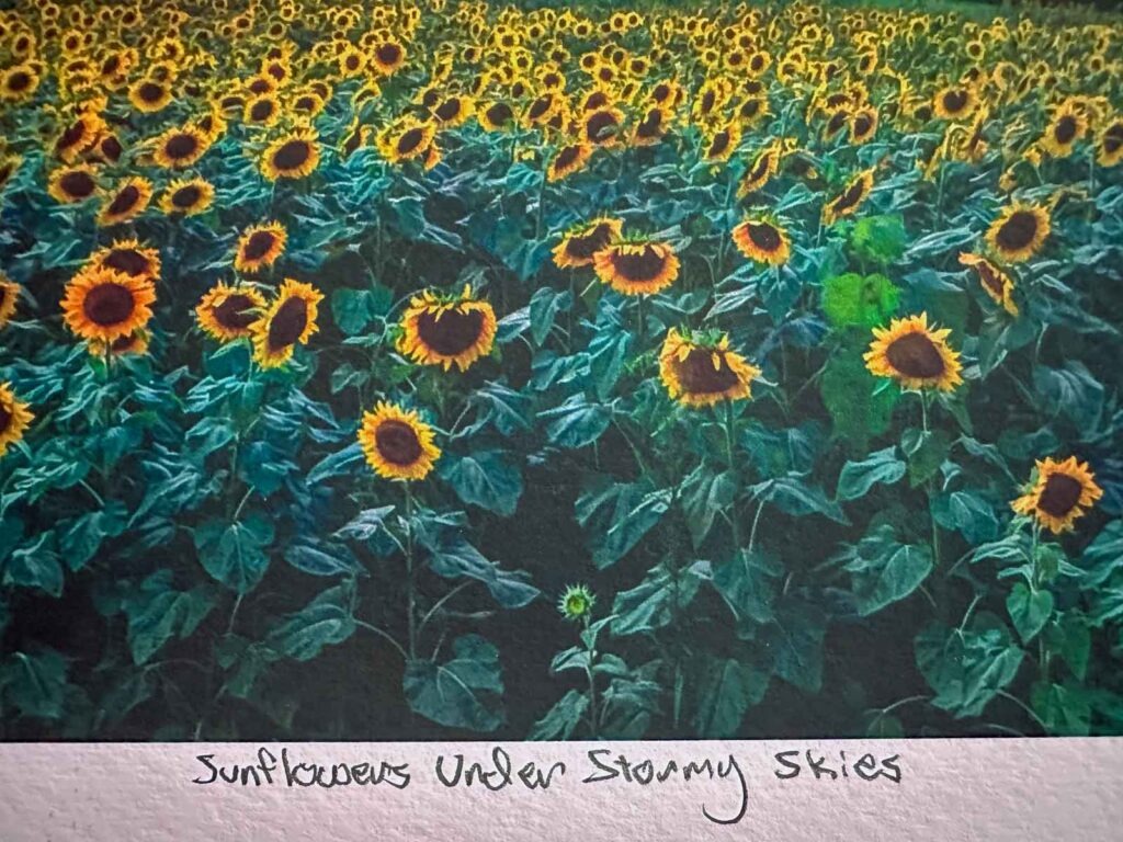 Close-up of Mike’s handwritten title on the 13x19 print “Sunflowers Under Stormy Skies,” showing signature and edition mark from the Signature series.