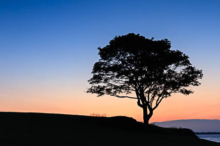 Landscape Gallery