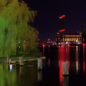 A single tree illuminated by a streetlight at night in an urban setting, photographed by Mike Dooley.