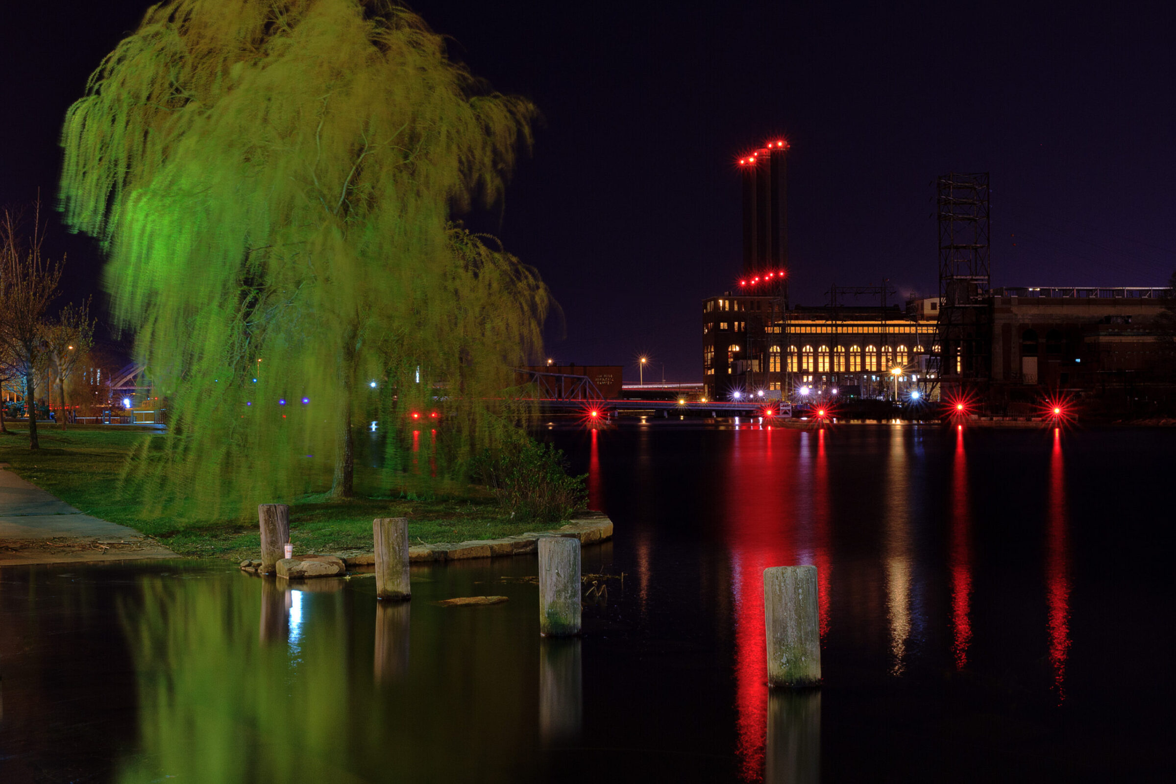 A single tree illuminated by a streetlight at night in an urban setting, photographed by Mike Dooley.