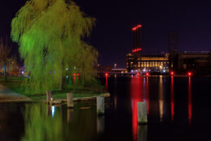 A single tree illuminated by a streetlight at night in an urban setting, photographed by Mike Dooley.