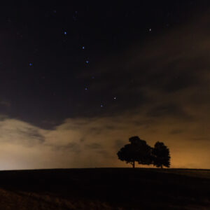 Night sky over a Connecticut farm with the Big Dipper constellation above two silhouetted trees, photographed by Mike Dooley.