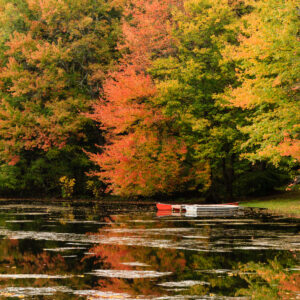 Two small boats tied to a dock beneath autumn foliage in Rhode Island, photographed by Mike Dooley.