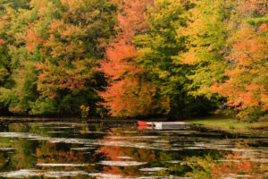 Two small boats tied to a dock beneath autumn foliage in Rhode Island, photographed by Mike Dooley.