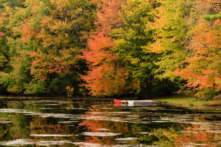 Two small boats tied to a dock beneath autumn foliage in Rhode Island