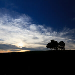 Two trees silhouetted on a hill against a colorful summer sunset in Connecticut, photographed by Mike Dooley.