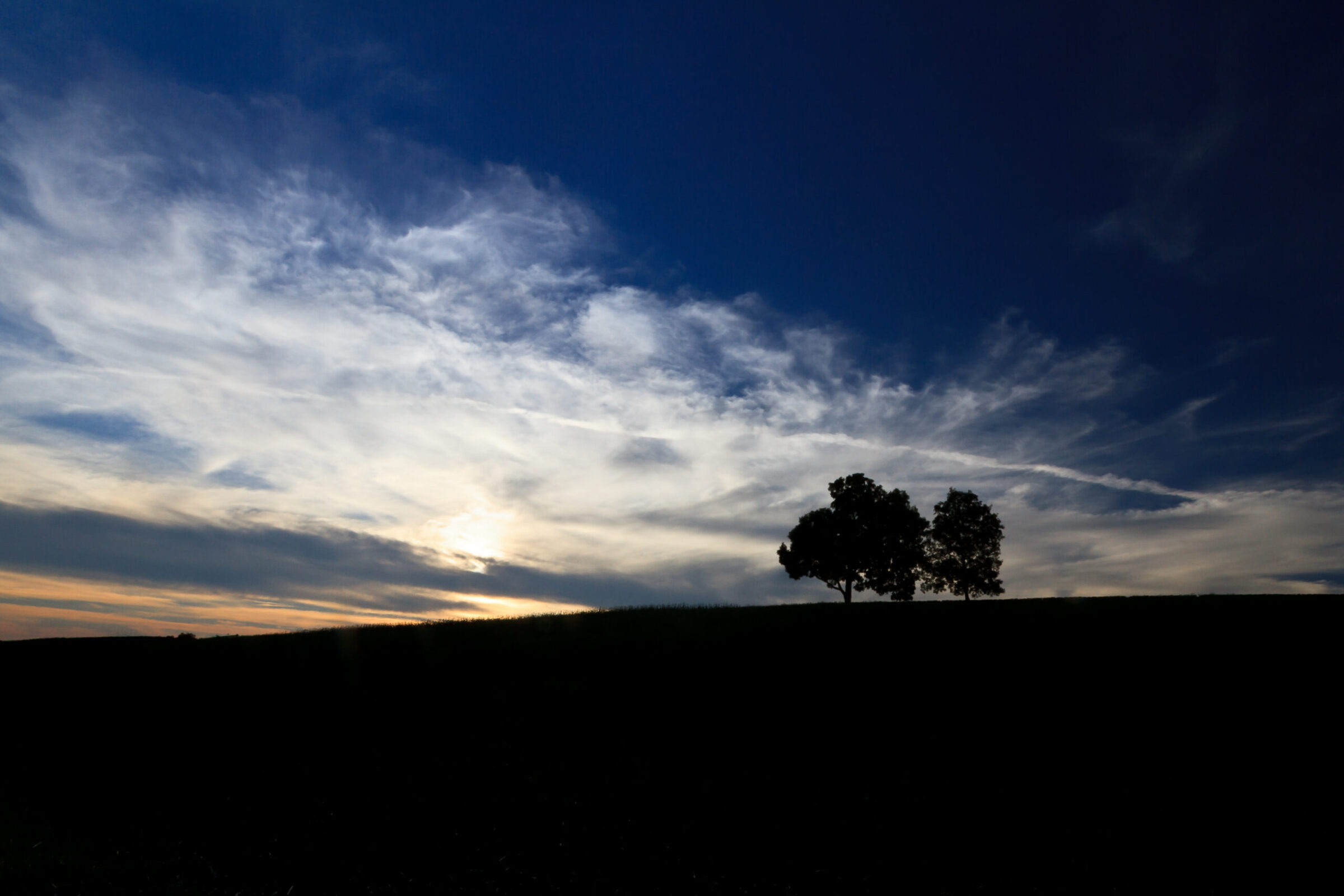 Two trees silhouetted on a hill against a colorful summer sunset in Connecticut
