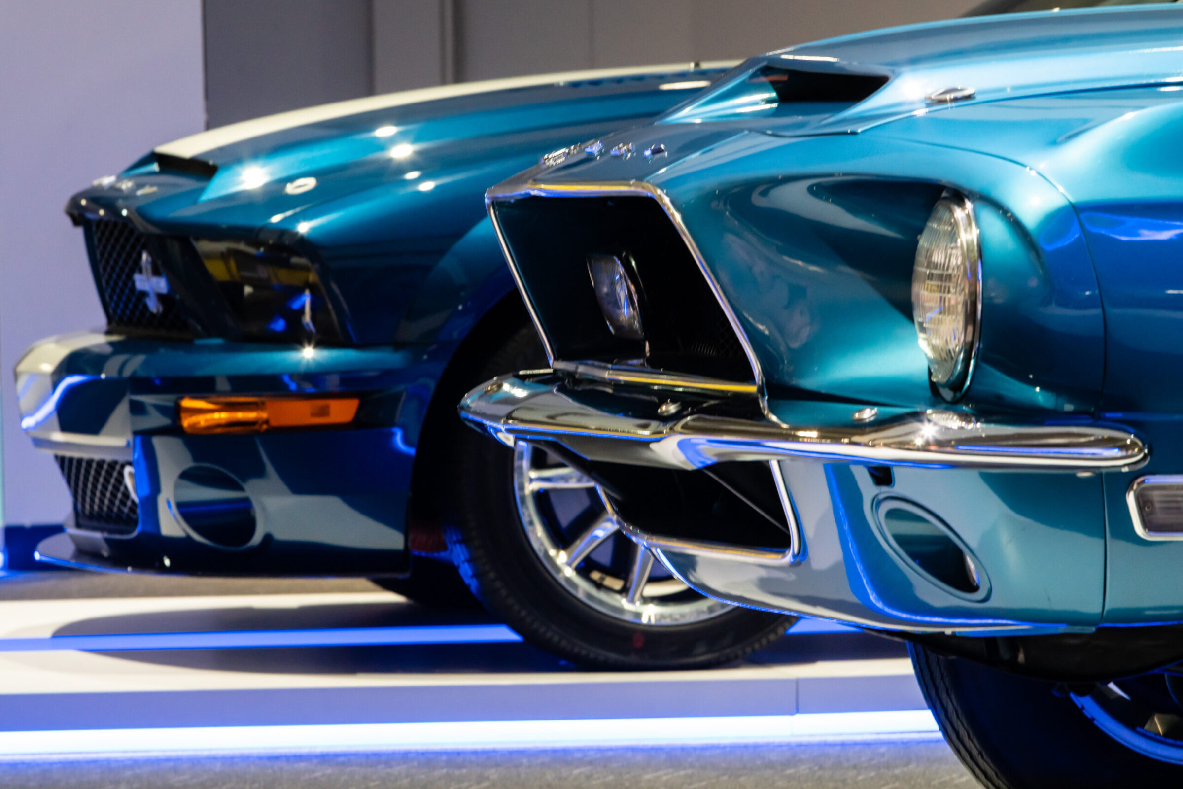 Three generations of Ford Mustangs front to front in the Ford room at the Newport Car Museum