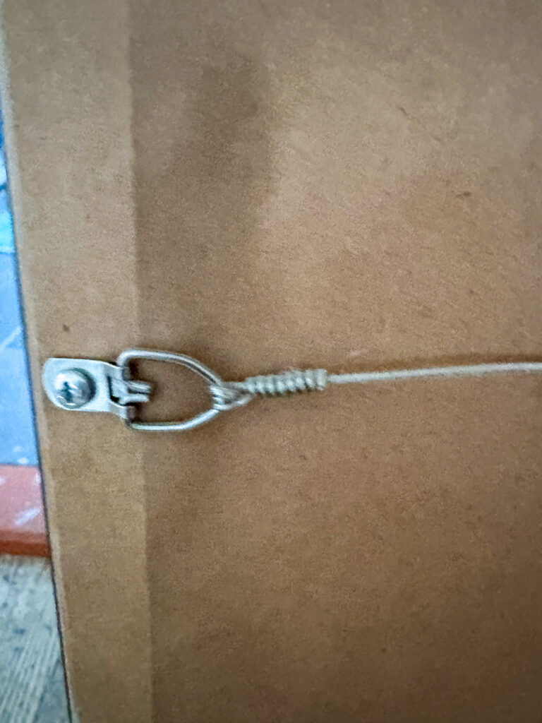 Standard wire hanging system on the back of a framed print