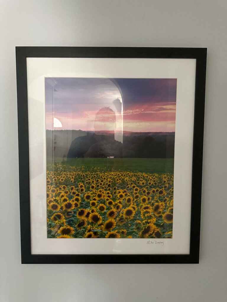 Finished framed artwork securely hung and level on a home wall