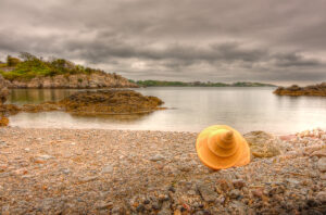 A sea shell photographed at Fort Wetherill State Park, Jamestown, Rhode Island, by Mike Dooley