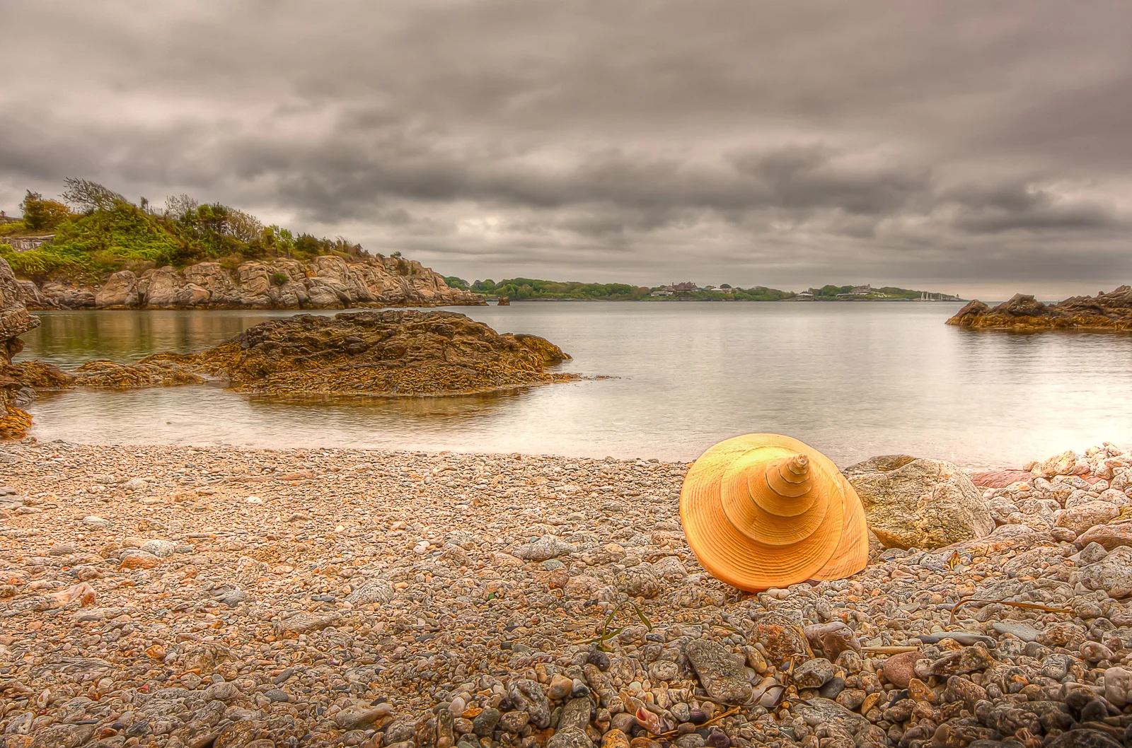 A sea shell photographed at Fort Wetherill State Park, Jamestown, Rhode Island, by Mike Dooley
