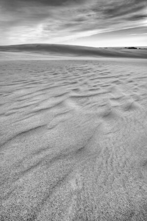 Black-and-white wind-rippled sand dunes at Jockey's Ridge State Park, Outer Banks, North Carolina