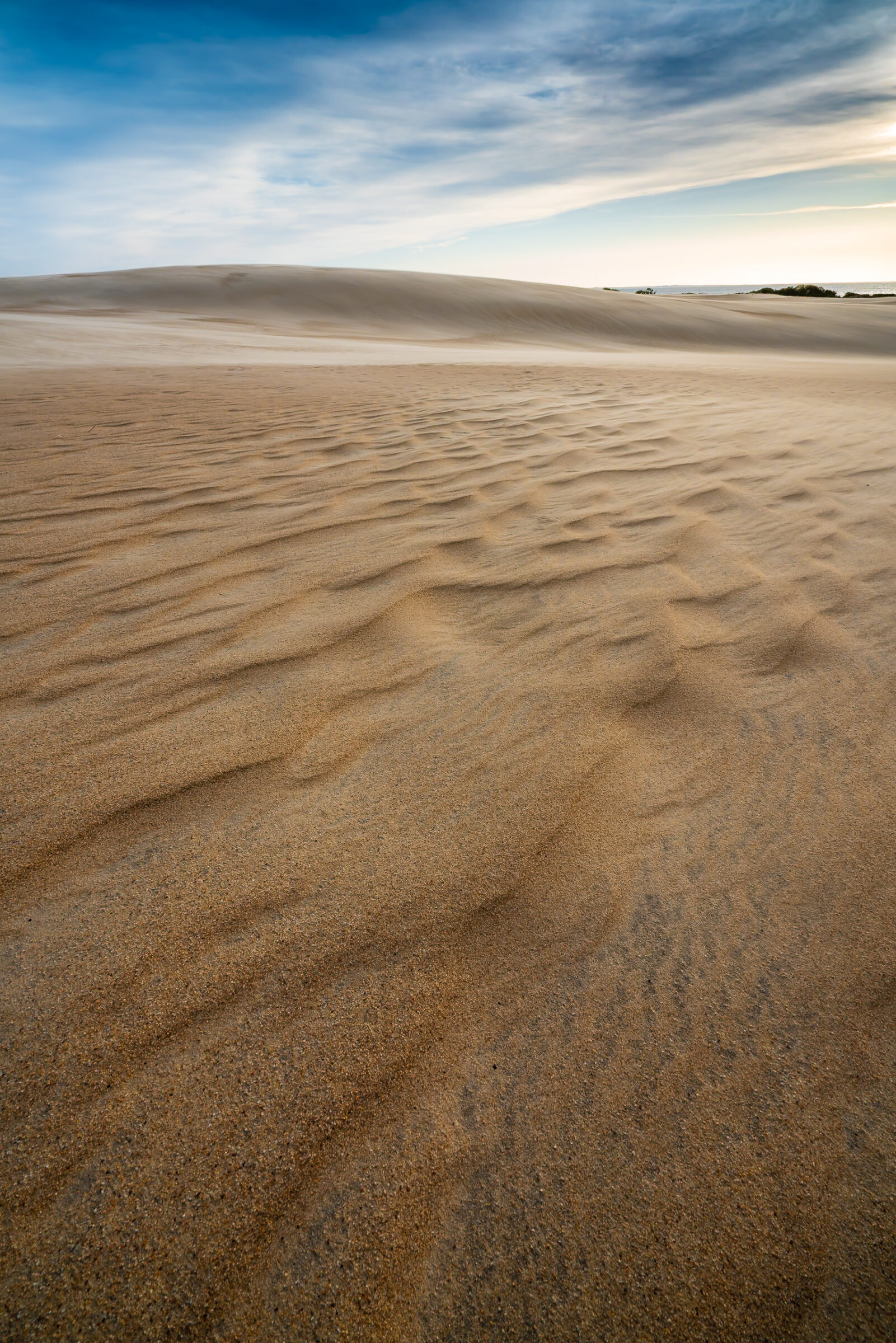 Wind-rippled sand in golden light at sunset, Jockey's Ridge State Park, Outer Banks, North Carolina, fine art photograph by Mike Dooley