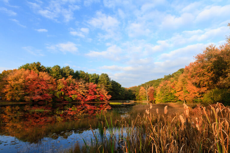 Fall foliage reflected in a still pond, fine art photograph by Mike Dooley